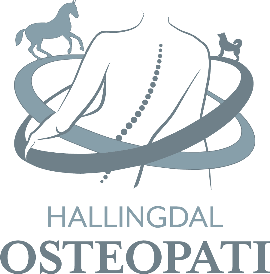 Hallingdal Osteopati Logo